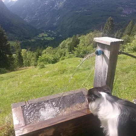 Soba Ktrenc Apartment Bovec