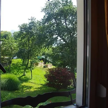 Apartment Ktrenc *