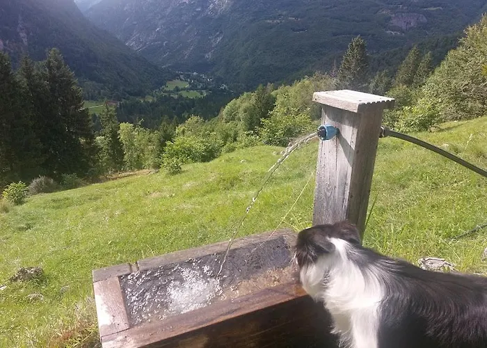 Ktrenc דירה בובק