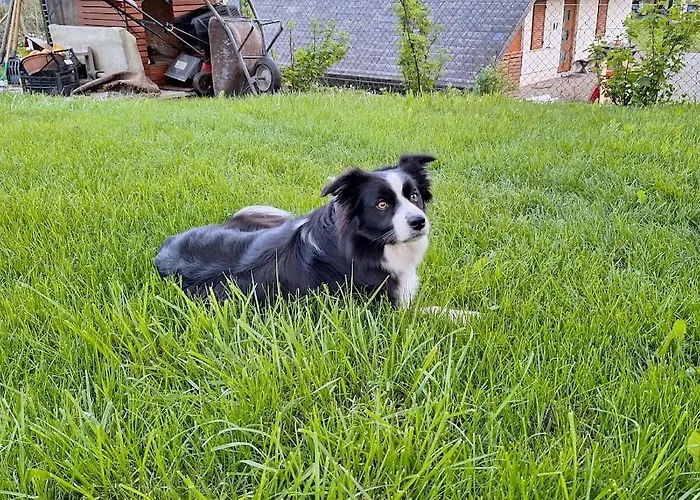 Ktrenc דירה בובק